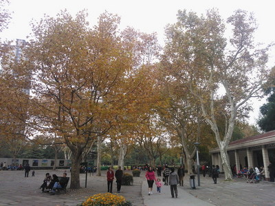 2012112001.jpg