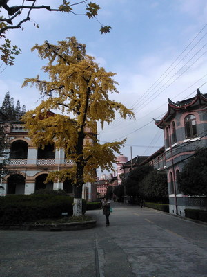 2012112003.jpg