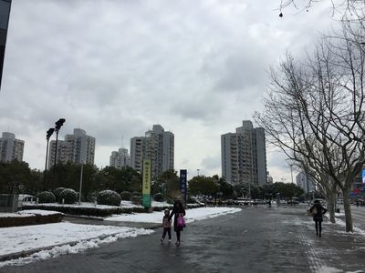 20180201001.jpg
