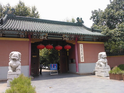 SJD001.jpg
