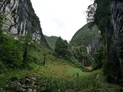 bbbP1190898.jpg