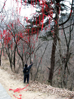 wudang10.jpg