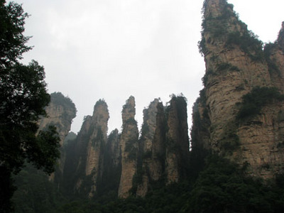 zjj05.jpg